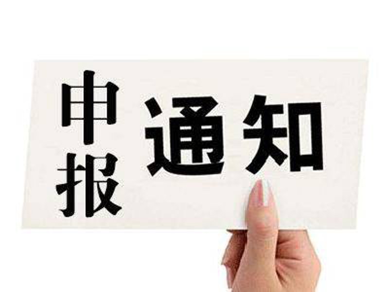 项目申报动态洞察：让每一笔资金都用在刀刃上